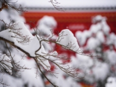 Many of Koyasan's trademark views are made even more beautiful against the pure white of fresh snow.